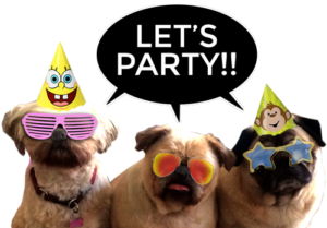Ted and two other dogs saying let's party!